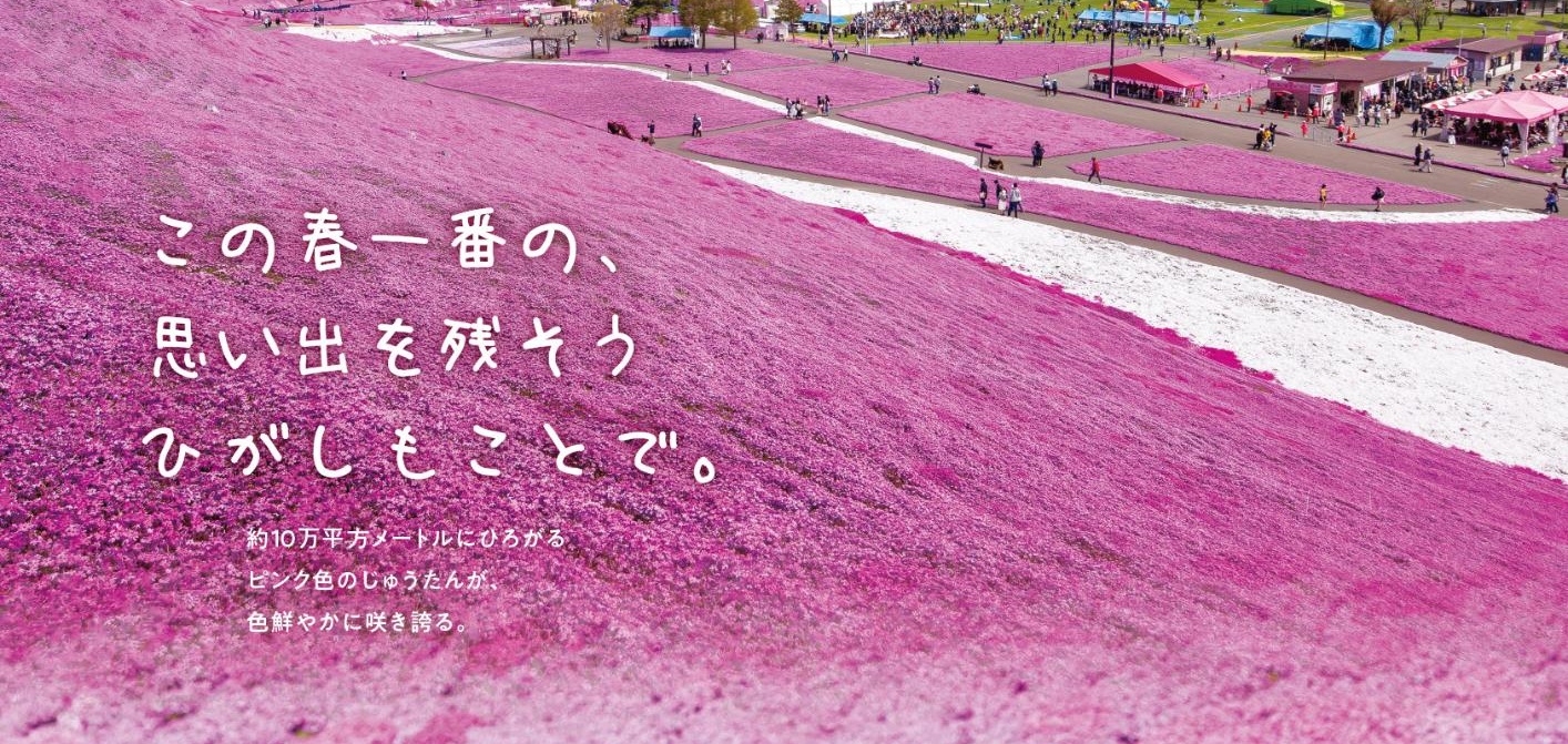 ひがしもこと芝桜まつり – NPO法人オホーツク大空町観光協会